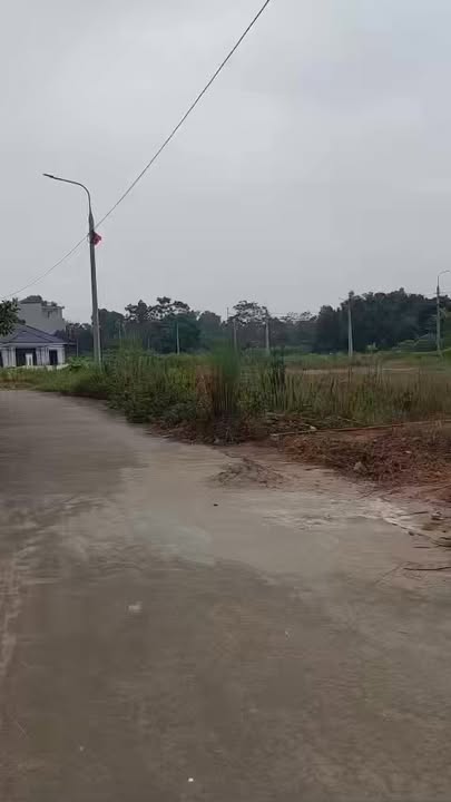 Đất đấu giá Văn Lung Phú Thọ 100m² - 116m² giá đầu tư chỉ 1 tỷ!