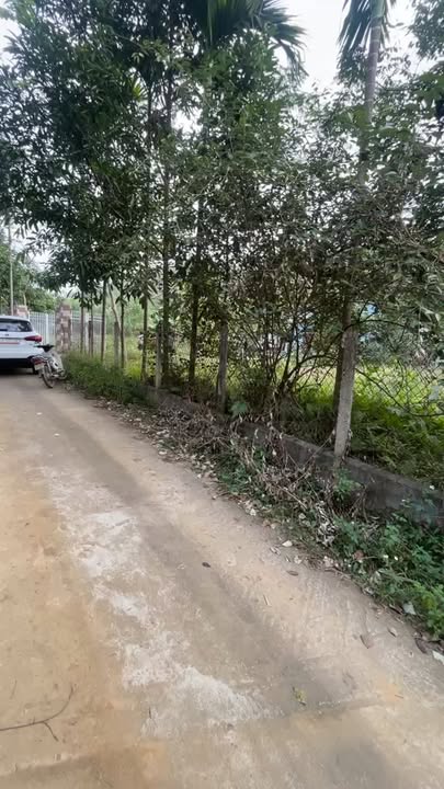 Đất Farm Gia Điền Hạ Hòa 7000m² - Phù hợp nghỉ dưỡng và sinh sống!