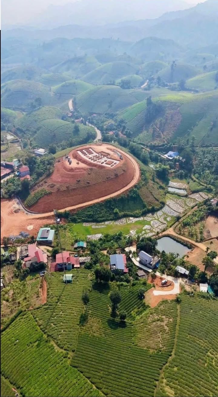 Đất nền du lịch Đồi Chè Long Cốc Tân Sơn 3000m² giá 1 tỷ - Cơ hội đầu tư hấp dẫn!