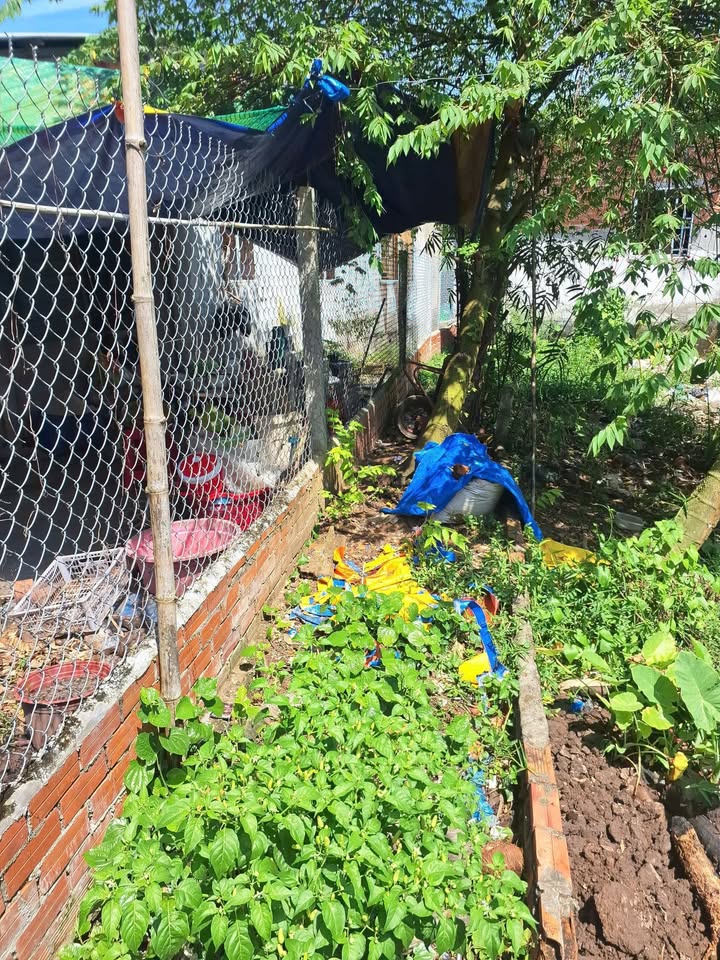 Đất nền Tân Phú Cái Răng 109.6m² giá 470 triệu - Đầu tư sinh lời ngay!