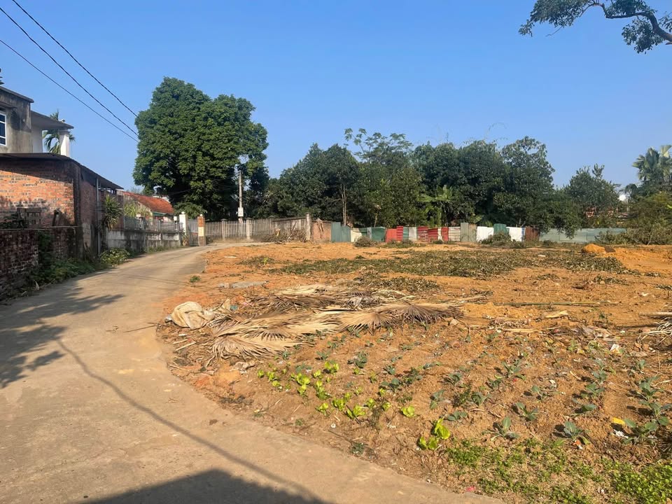 Đất nền phân lô Thanh Đình, Việt Trì 93m² - Giá chỉ 700 triệu, cơ hội đầu tư tuyệt vời!