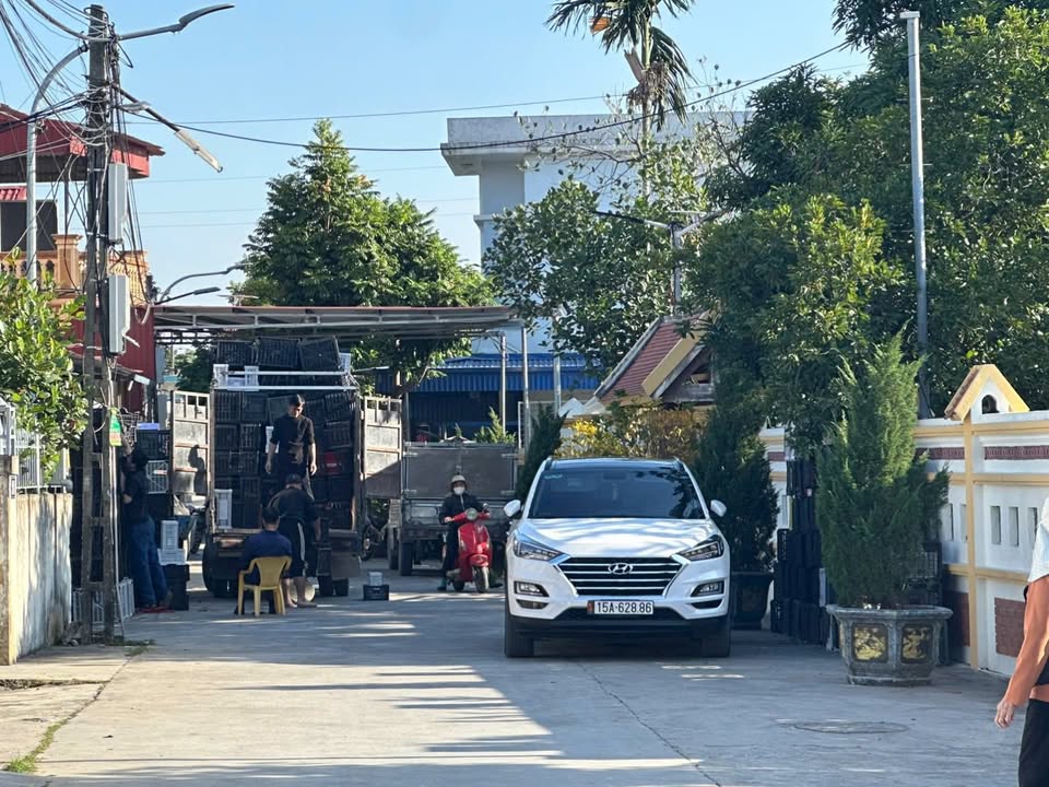 Đất nền Tân Tiến, Hải Phòng 91.9m² giá 1.7 tỷ - Vị trí đẹp, kinh doanh thuận lợi!