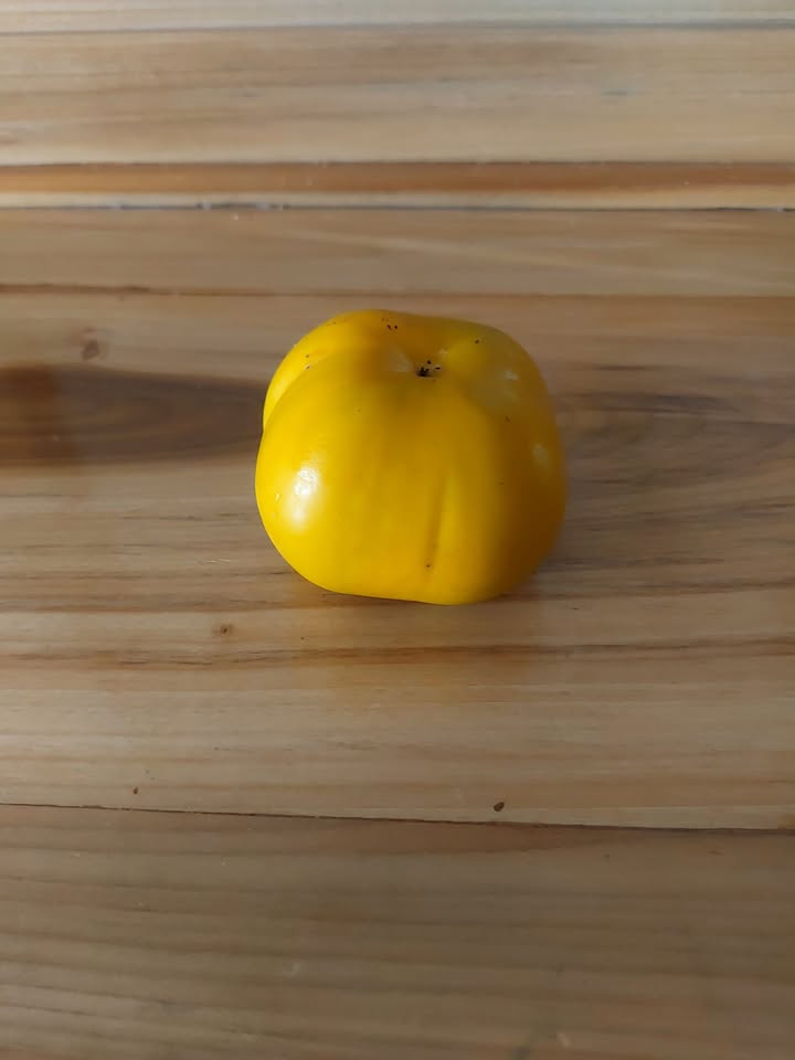 Đất nền Tân Văn, Lâm Hà 280m² giá 690 triệu - Sổ đỏ chính chủ, thổ cư có sẵn!