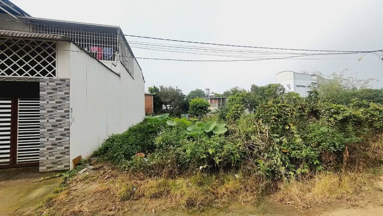 Đất Hẻm 84 Trần Phú, Lộc Sơn, Bảo Lộc 168m² giá 2.1 tỷ - Cơ hội đầu tư sinh lời!