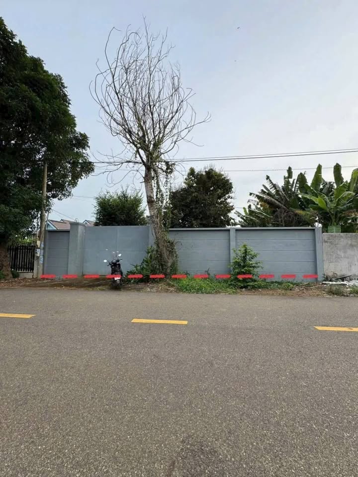 Đất thổ cư đường 82, xã Hoà Long, 591m² - Giá tốt, cơ hội đầu tư!