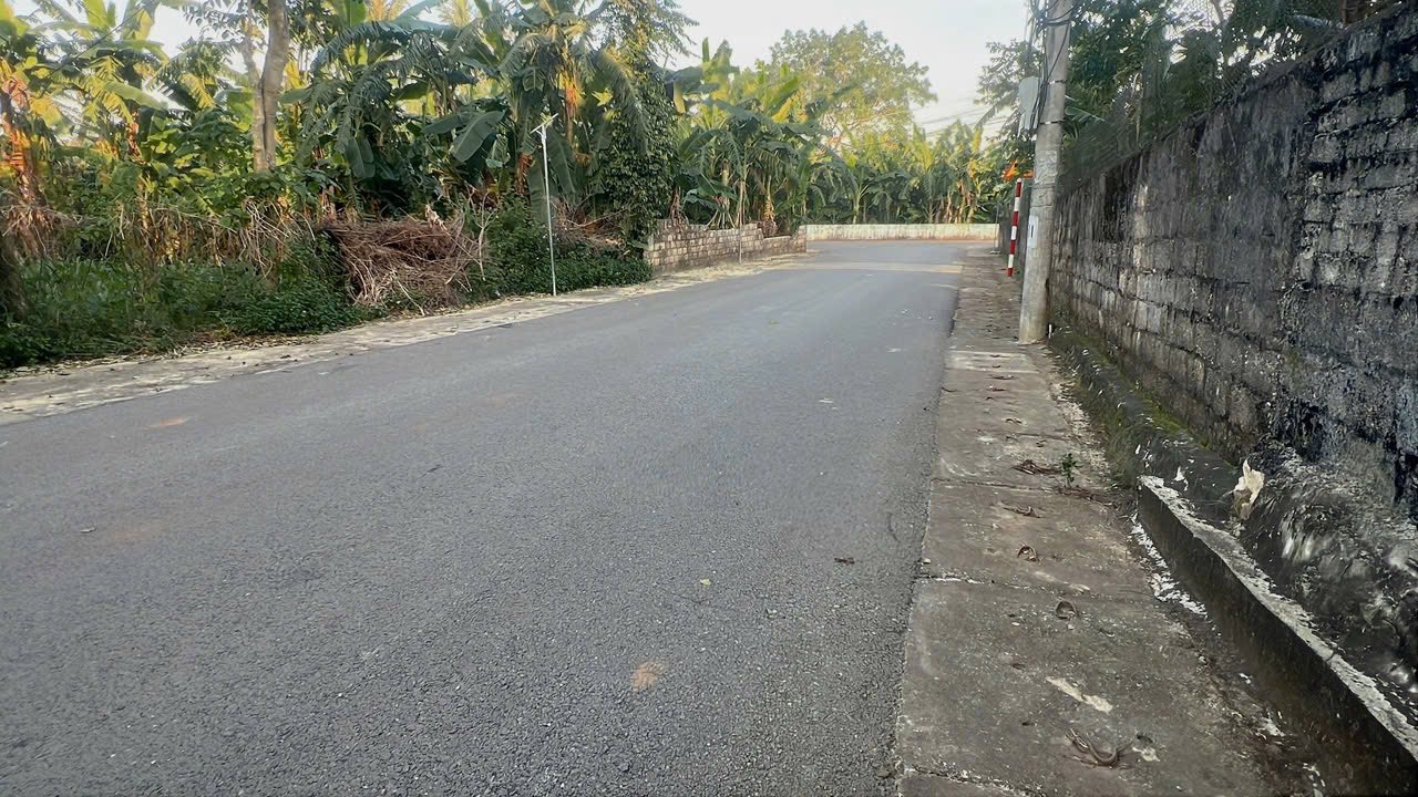 Đất nền Phú Thành Yên Thành 210m² - Cơ hội đầu tư hấp dẫn!