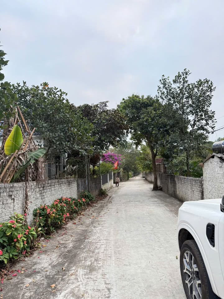 Đất Nghĩa Mỹ Thái Hòa 210m² giá 595 triệu - Đầu tư sinh lời ngay!