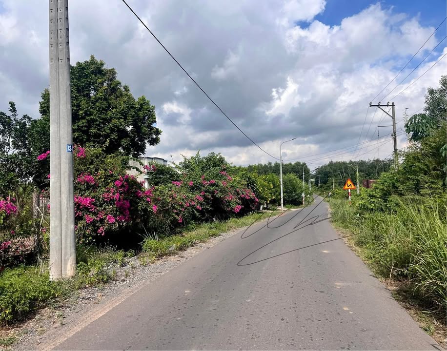 Đất nền đường chính Tân Hiệp - Xã Phước Thái 1000m² chỉ 3 tỷ - Sổ hồng riêng