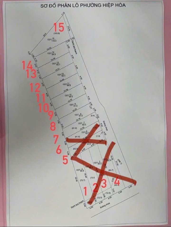 Đất nền Hiệp Hòa Biên Hòa 65m² giá 3.2 tỷ - Đầu tư sinh lời ngay!