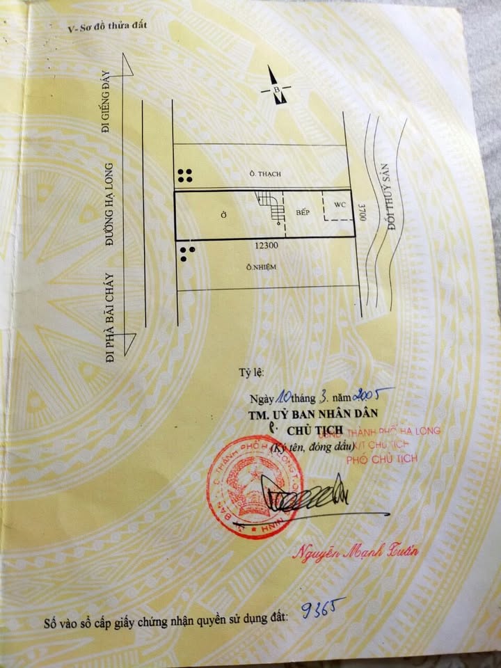 Bán nhà mặt tiền Hạ Long 45m² giá 9 tỷ - Kinh doanh thuận lợi!