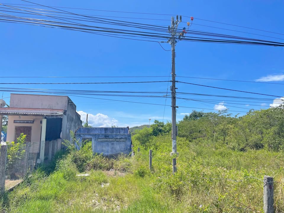 Đất thổ cư Vạn Hưng 217m² giá 981 triệu - Hai mặt tiền đường thuận lợi cho kinh doanh!