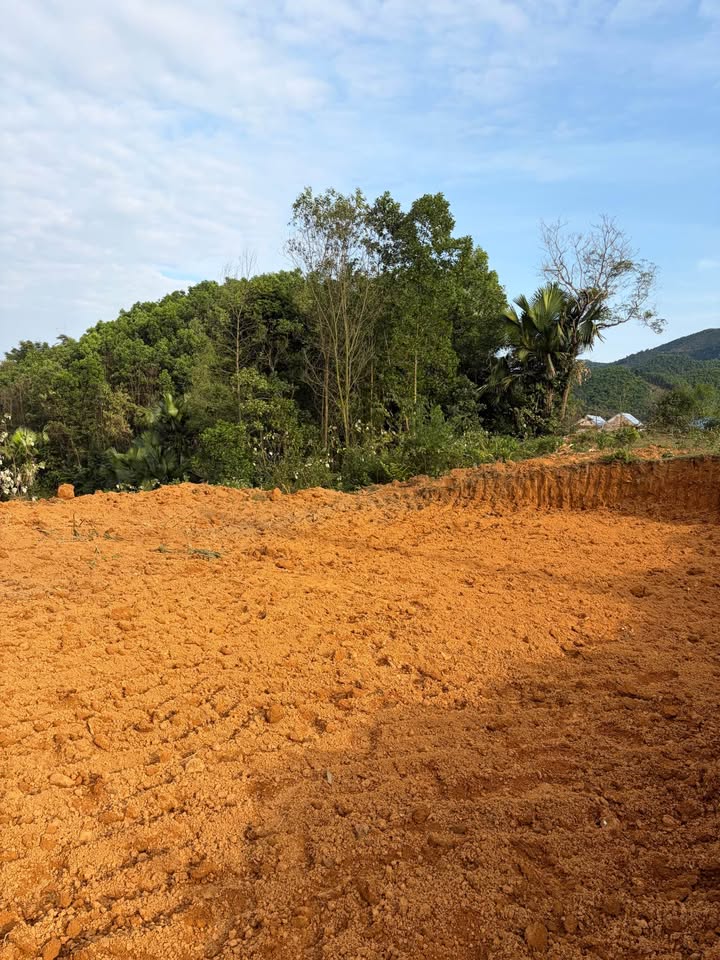 Đất thổ cư 5000m² tại Hợp Thành, Phú Lương, Thái Nguyên - Giá 2.26 tỷ, cơ hội đầu tư hấp dẫn!