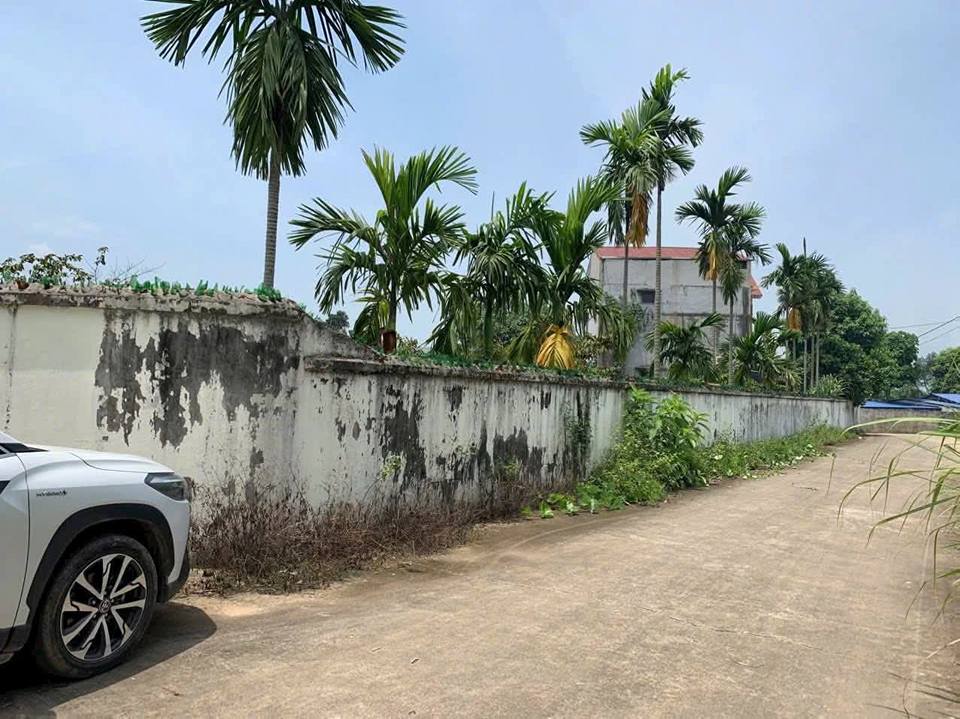 Đất Tích Lương Thái Nguyên 6000m² giá 6 tỷ - Cơ hội đầu tư sinh lời!