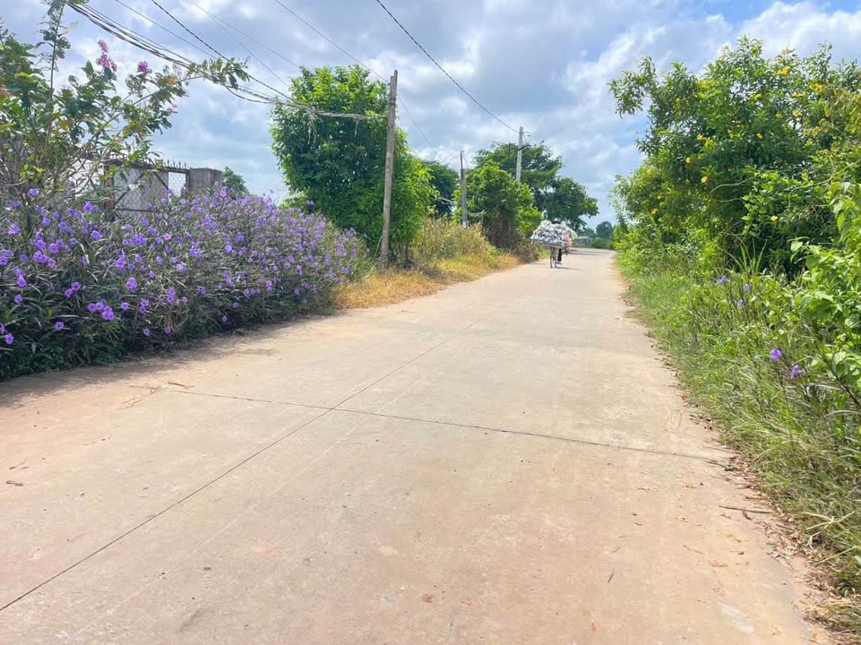 Đất mặt tiền Lộc Hòa, Đức Hòa 939m² giá 4.25 tỷ - Đầu tư sinh lời tuyệt vời!