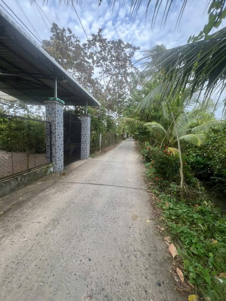 Đất nền Tân Phú Đông, Sa Đéc 250m² giá 680 triệu - Đầu tư sinh lời ngay!