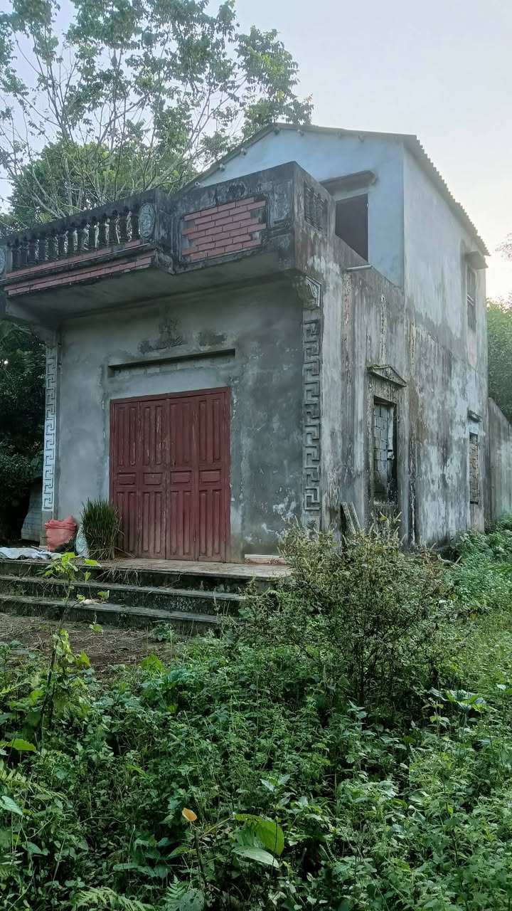 Farm Thanh An Minh Long 837m² giá 599 triệu - Đầu tư sinh lời hấp dẫn!