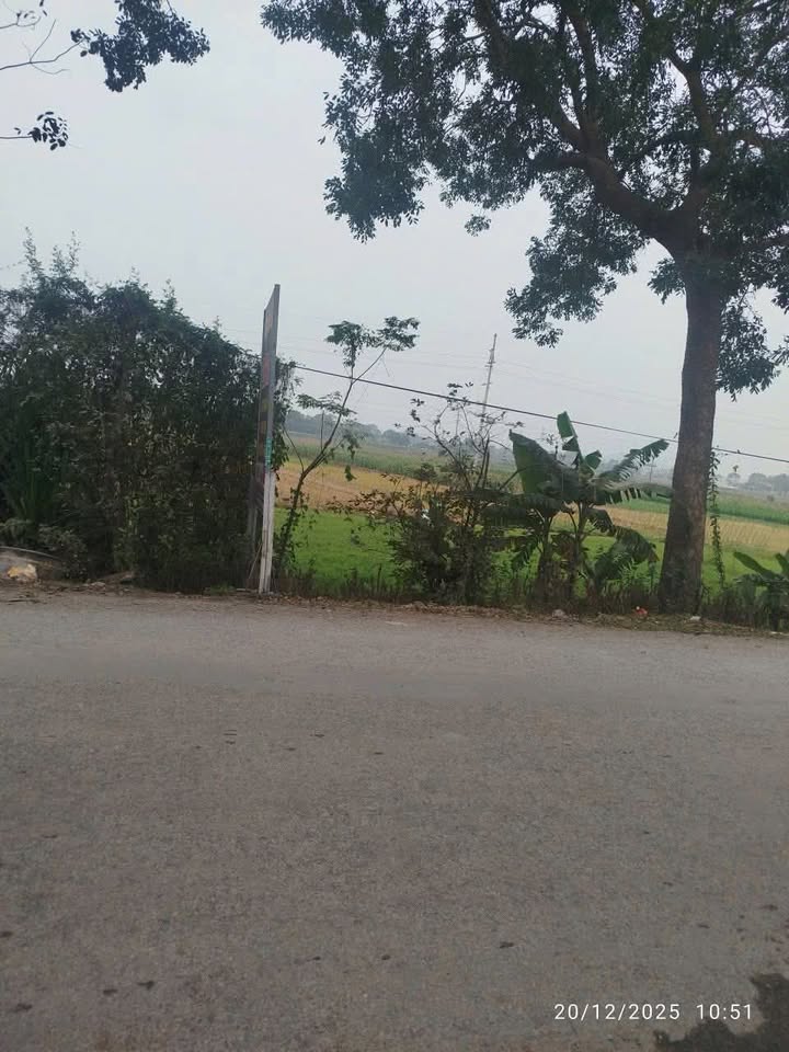 Đất liền kề Nam Thạch, Yên Trung 125m² - Gía tốt thương lượng