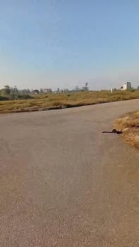 Đất nền dự án TDC Sông Đông - Phường Quảng Cư, Sầm Sơn - Diện tích 100m² - Giá tốt nhất thị trường!