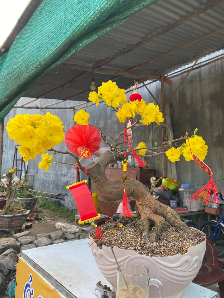 Đất nền Bảo Hoà Xuân Lộc 120m² giá 850 triệu - Sổ đỏ chính chủ, thương lượng ngay!