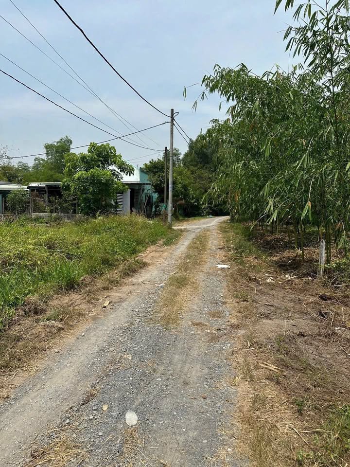 Đất nền Tân An Hội Củ Chi 1000m² giá 4,2 tỷ - Sổ đỏ chính chủ, đường xe tải vào tận nơi!