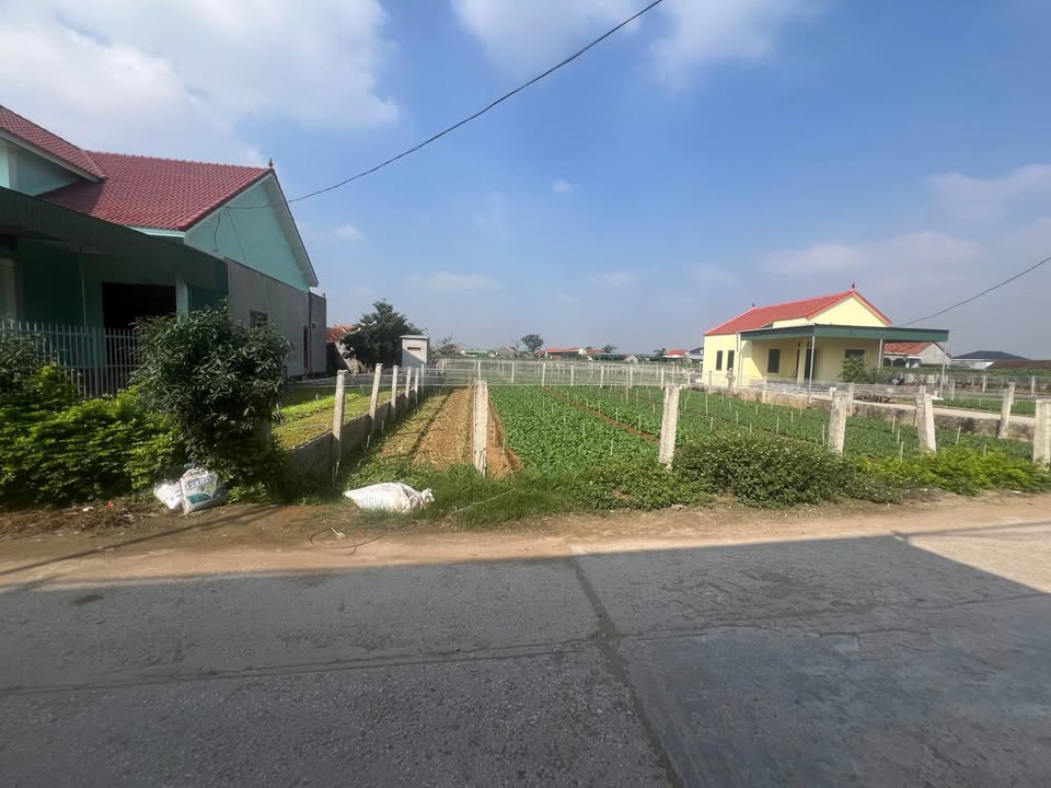 Đất liền kề thôn Đại Đồng, Hoàng Mai 175m² - Bán gấp chính chủ!