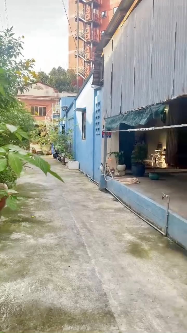 Nhà cấp 4 Phú Lâm Quận 6 100m² giá 10.7 tỷ - Sổ hồng chính chủ, ngay gần Coop Mart