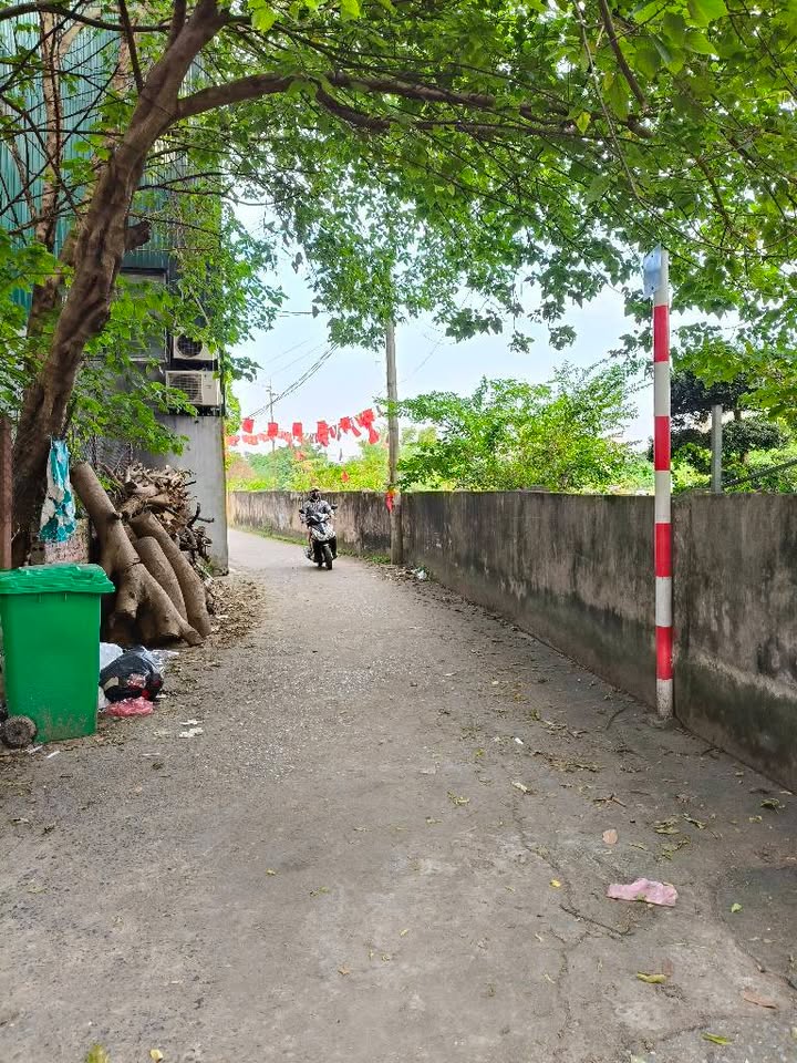 Đất nền Thượng Thanh Long Biên 75m² giá 3 tỷ - Cơ hội đầu tư hấp dẫn!