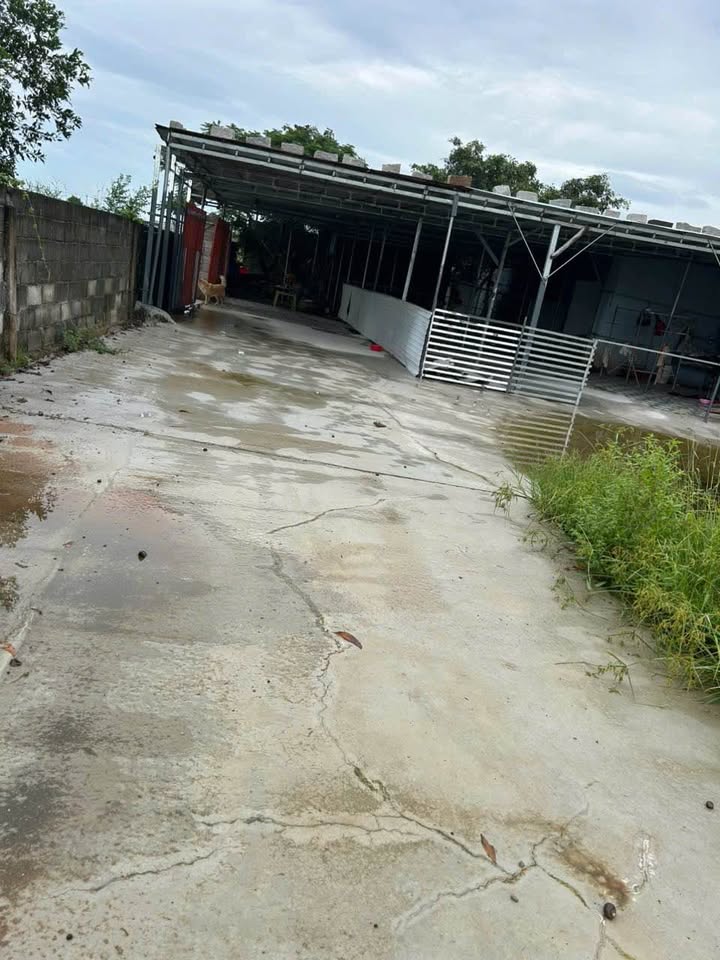 Đất nền 200m² tại xã Hàm Hiệp - Giá chỉ 380 triệu, cơ hội đầu tư hấp dẫn!