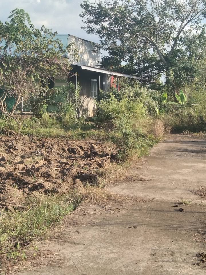 Đất nền Thuận Hòa, Hàm Thuận Bắc 200m² giá chỉ 1.1 tỷ - Cơ hội đầu tư tuyệt vời!