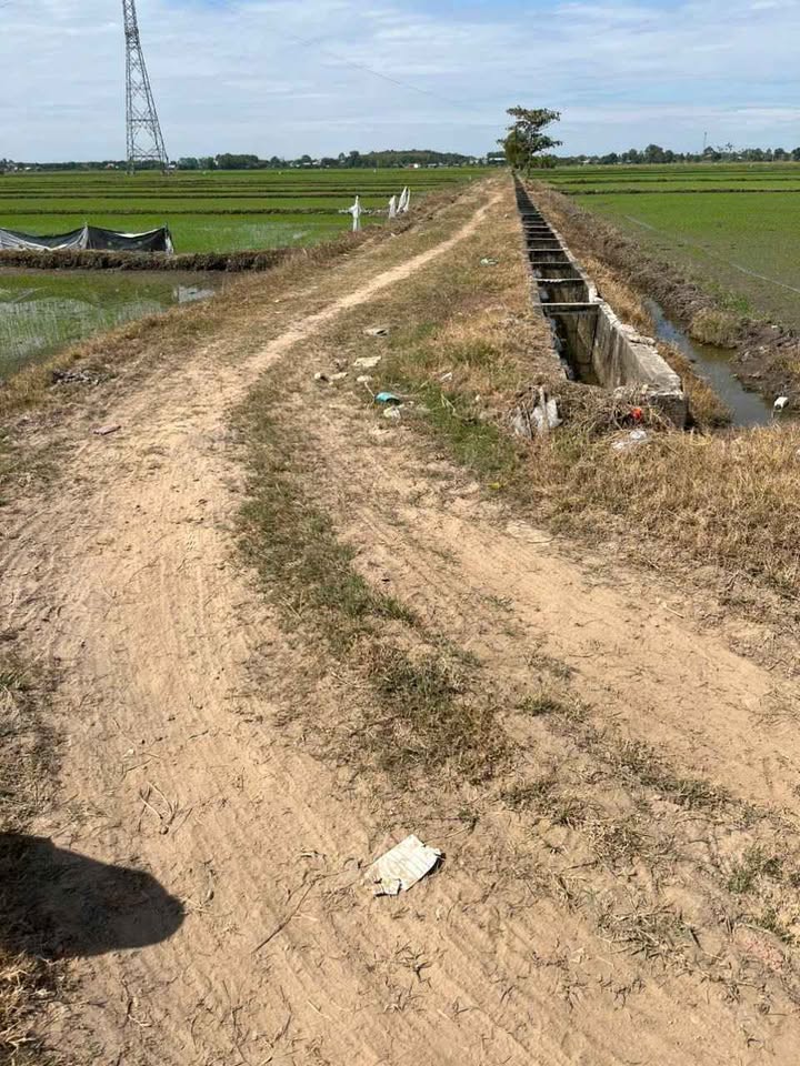 Đất nền Củ Chi 4472m² giá 2.236 tỷ - View kênh thoáng mát!