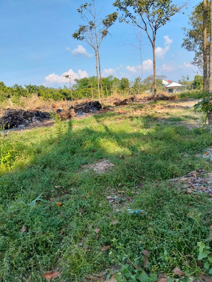 Đất nền Xuân Thọ Đồng Nai 1080m² giá 1.062 tỷ - Cơ hội đầu tư tuyệt vời!