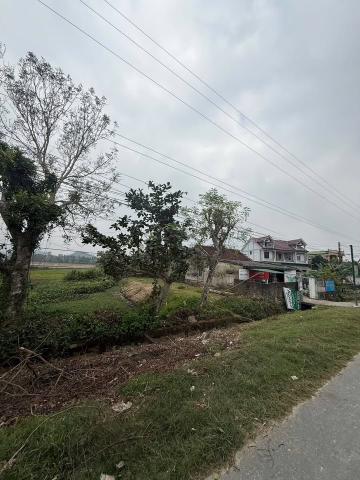 Đất mặt đường xã Trường Sơn, Đức Thọ, 200m² - Tiềm năng kinh doanh lớn!