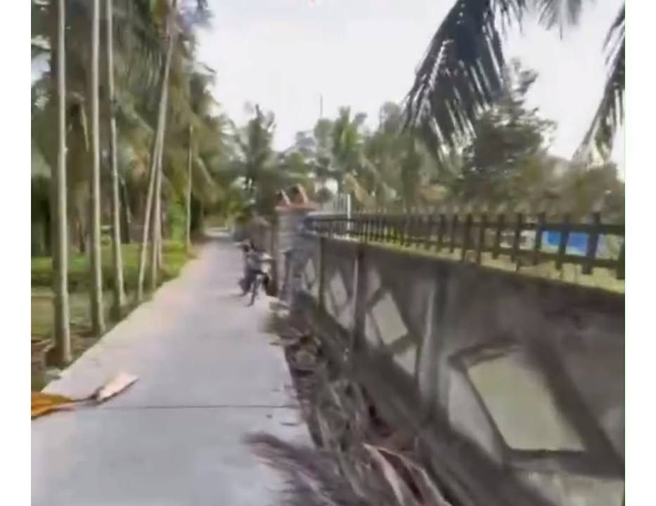 Đất nền đẹp 1.370m² tại Tân Hoà, Cần Thơ - Giá chỉ 1,15 tỷ!