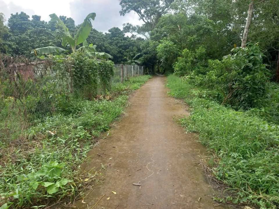 Đất nền Nhơn Nghĩa, Phong Điền 2411m² giá 1.1 tỷ - Tiềm năng đầu tư lớn!