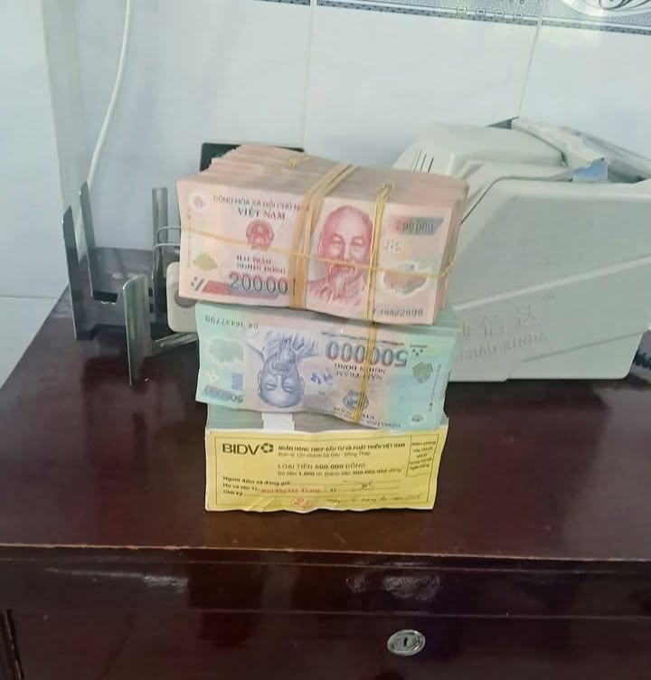 Đất nền Trường Thắng, Thới Lai 1200m² - Đầu tư sinh lời dễ dàng!