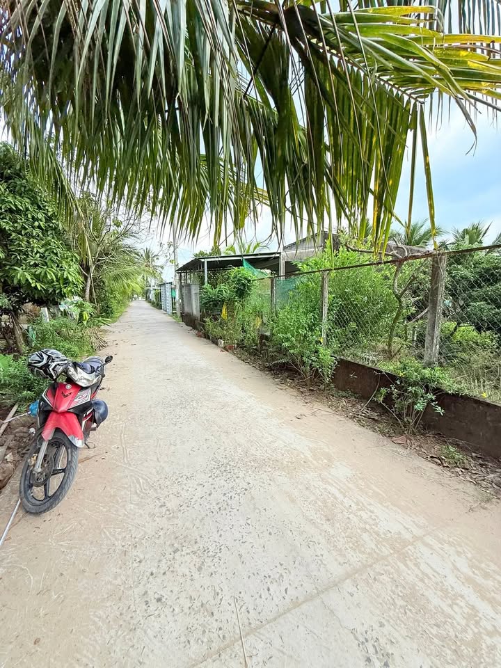 Đất nền Cần Thơ 242m² giá 950 triệu - View sông thoáng mát, dân cư đông đúc!