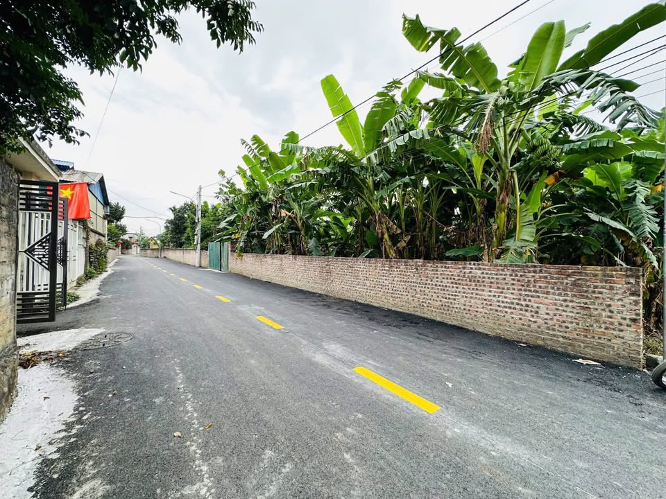 Đất nền 1500m² xã Lương Sơn, Chương Mỹ - Giá chỉ 12 tỷ, sổ đỏ chính chủ!