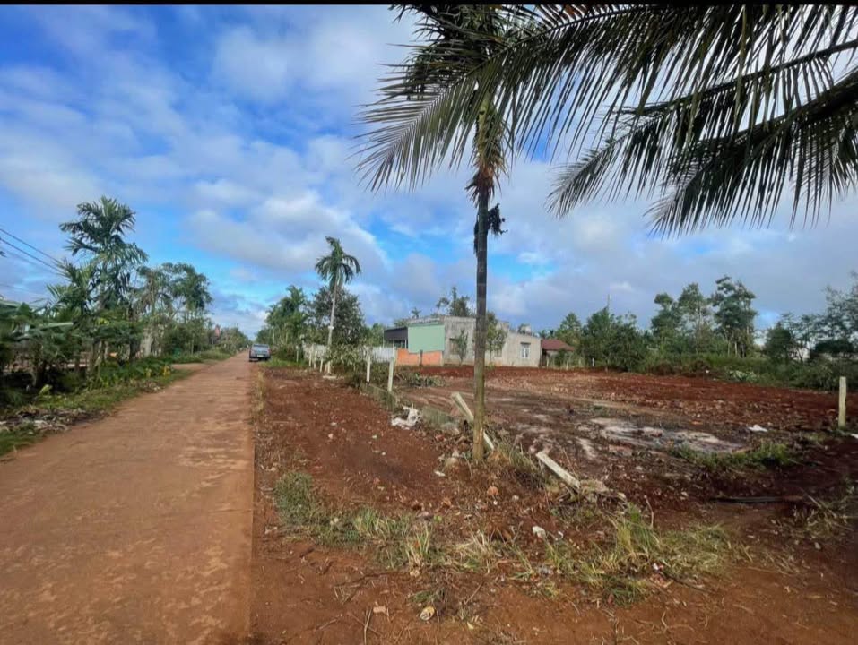 Đất nền Hoà Đông, Krông Pắc 148.4m² giá chỉ 750 triệu - Đầu tư sinh lời ngay!