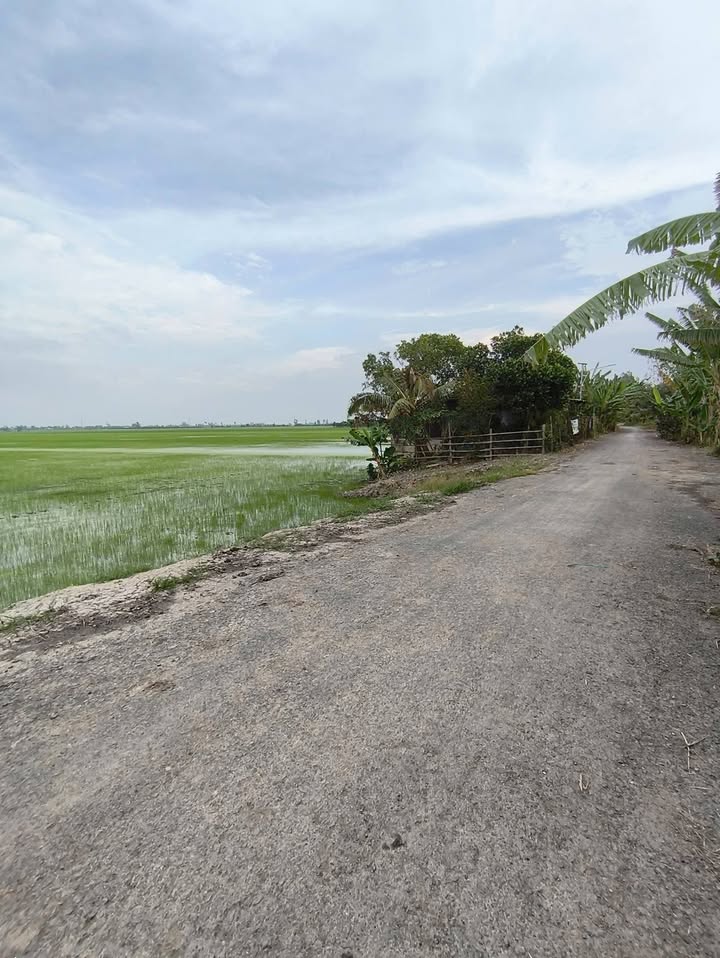 Đất nền Mỹ Phú Đông Thoại Sơn 65 công giá 10.4 tỷ - Mặt tiền đường nhựa thuận lợi!