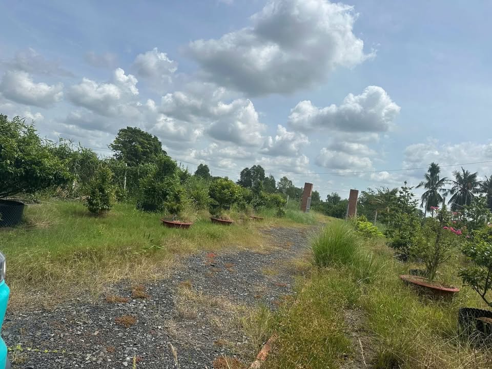 Nhà vườn Thạnh Hoà, Bến Lức 2700m² giá 6.5 tỷ - Tiềm năng đầu tư tuyệt vời!