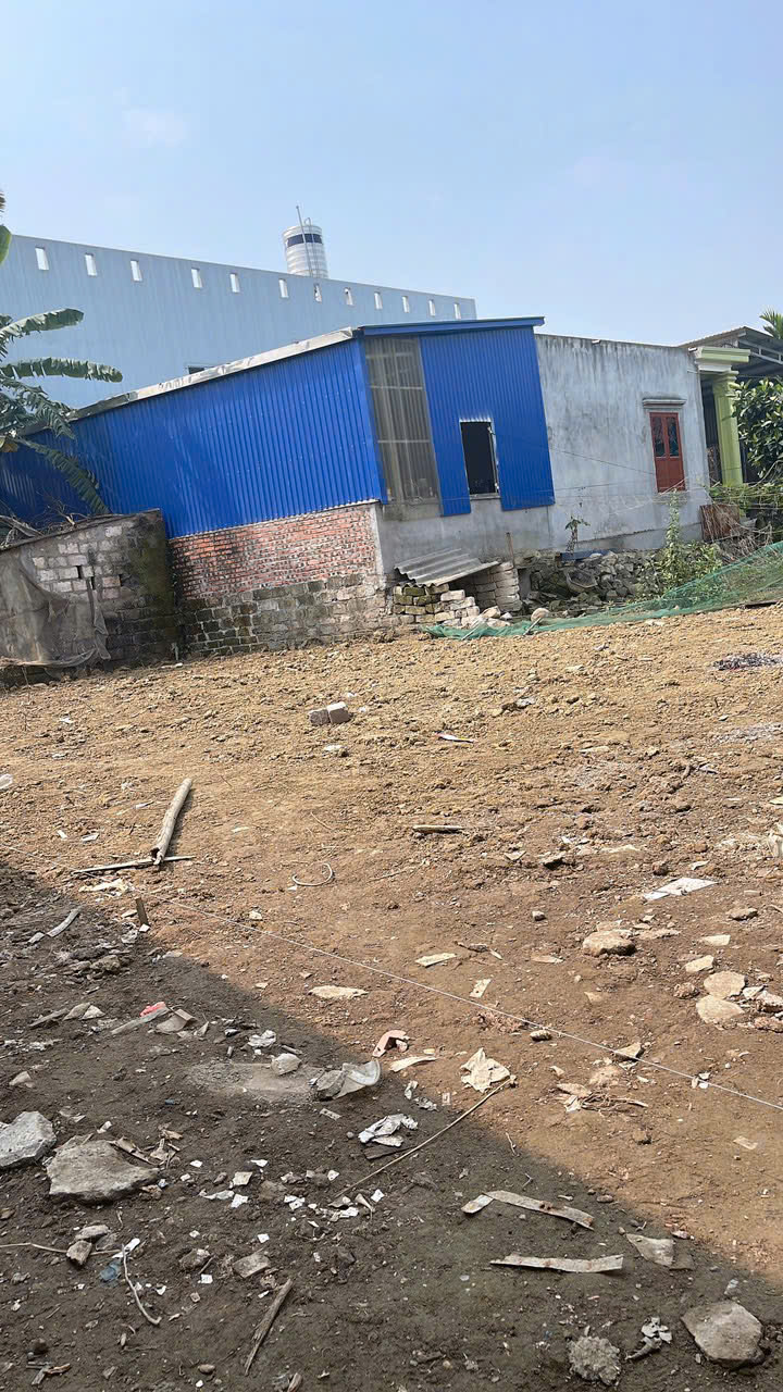 Đất nền thổ cư Hoa Động Thủy Nguyên 61m² giá chỉ 1 tỷ - Cơ hội đầu tư tuyệt vời!