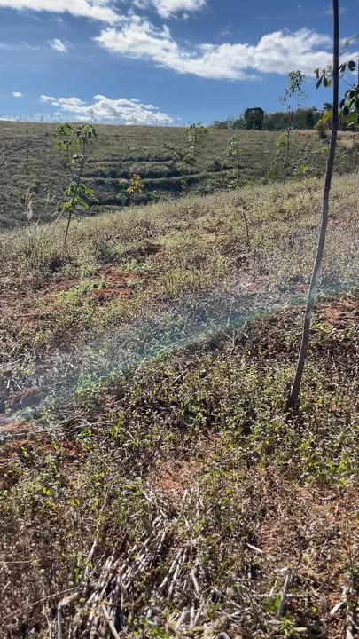 Đất nông nghiệp Ya Tăng, Sa Thầy 12.531m² - Tiềm năng phát triển cao!