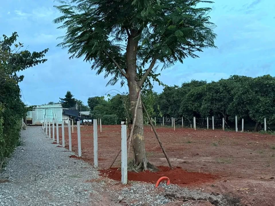 Đất thổ cư Phước Tân, Xuyên Mộc 95m² giá 850 triệu - Sẵn sàng đầu tư ngay!