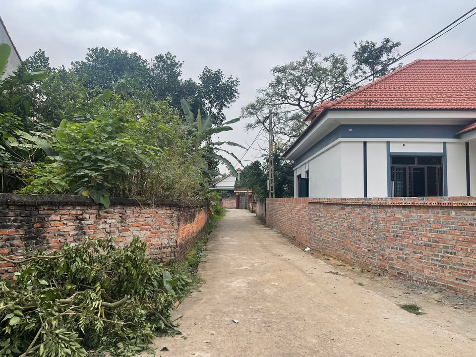 Đất thổ cư Chu Hóa - Phú Thọ 110m² giá 1 tỷ - Giao thông thuận tiện!