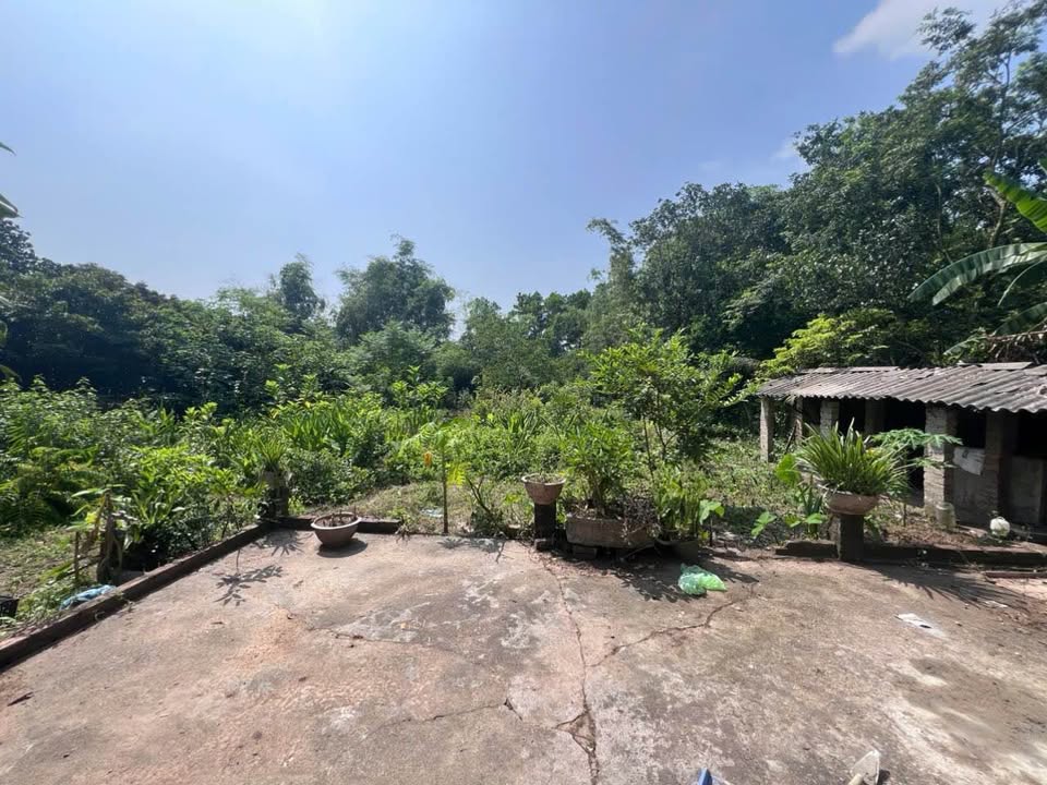 Nhà cấp 4 Tân Thành Thái Nguyên 878m² giá 1 tỷ - Không thể bỏ lỡ!