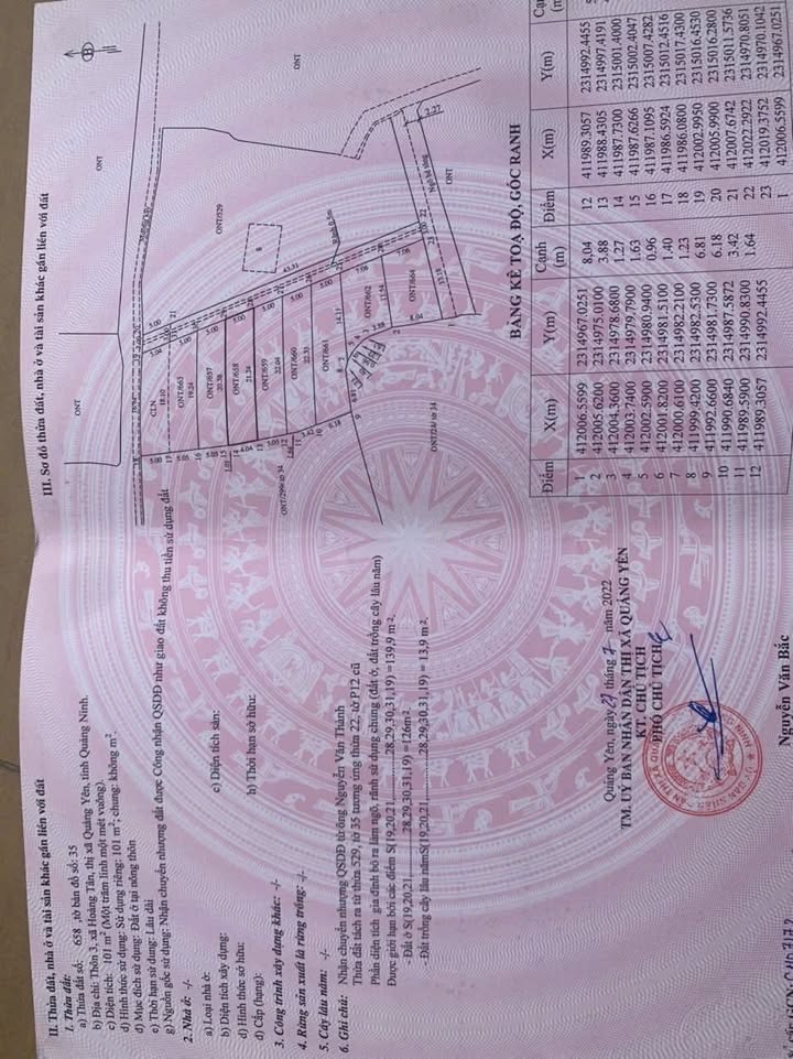 Đất nền Hoàng Tân, Quảng Yên 101m² giá chỉ từ 1x/m² - Đầu tư sinh lời ngay!