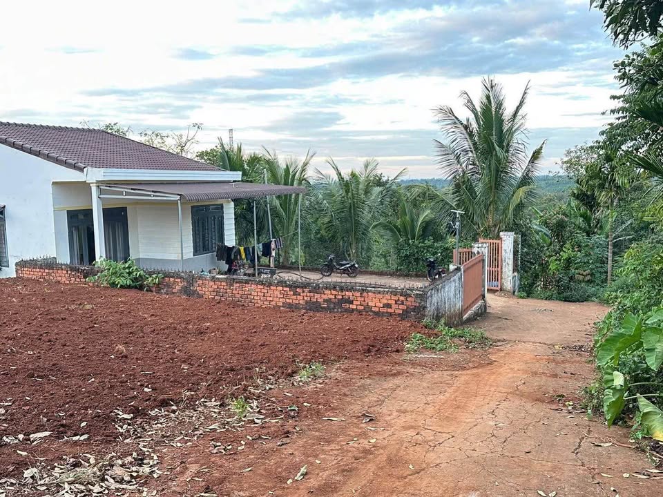 Đất nền 473/56 Y Moan Buôn Ma Thuột 500m² giá 1.15 tỷ - Đầu tư sinh lời ngay!