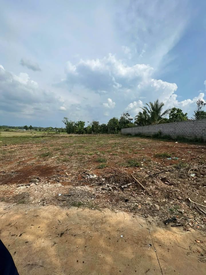 Đất nền Km19, Quốc lộ 26, 1000m² chỉ 799 triệu - View ruộng thơ mộng!