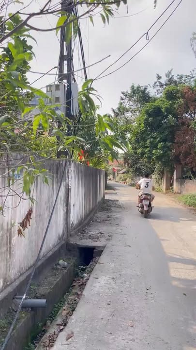 Đất nền đẹp tại Đại Đình, Tam Đảo 479m² giá 3 tỷ - Cơ hội đầu tư tuyệt vời!