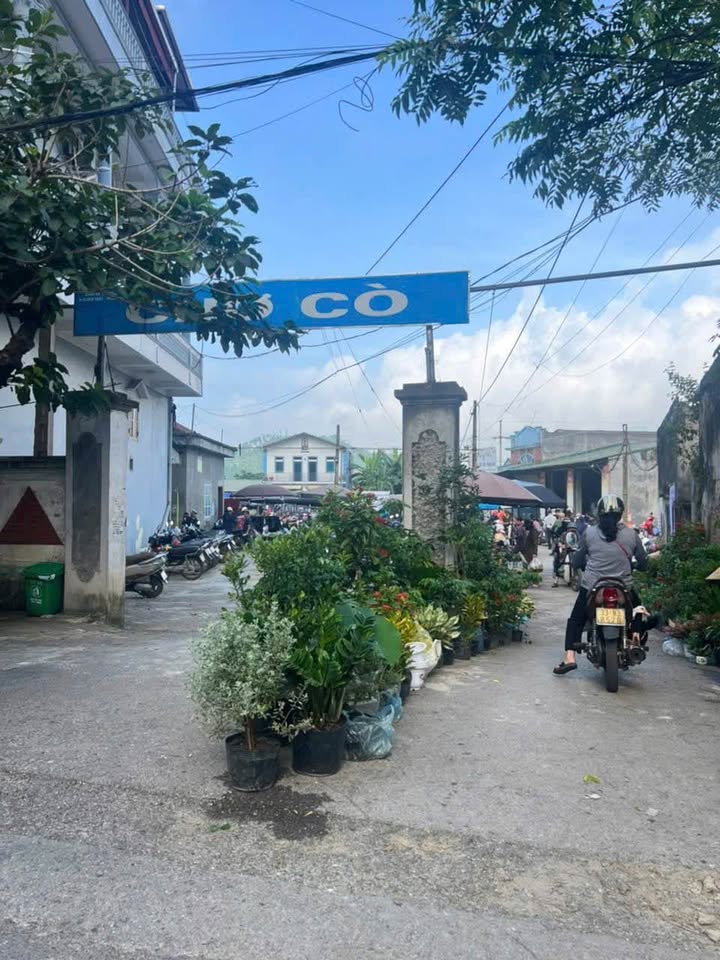 Đất nền 90m² tại Chợ Cò Yên Bình Thạch Thất - Đầu tư sinh lời hấp dẫn!